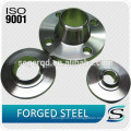 OEM Hot Die Steel forging Blank Products